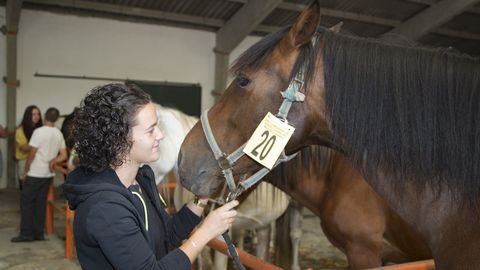 Imagen de archivo del Concurso de Gando Cabalar