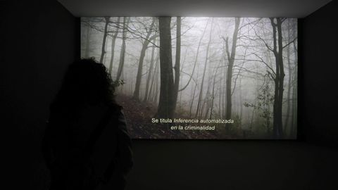 La muestra cuenta con cuatro piezas visuales