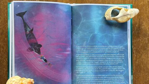 Detalle del libro «El encuentro».