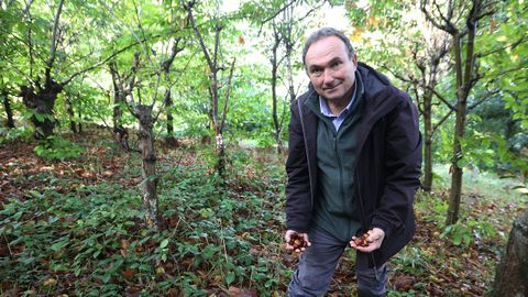 Ramiro Mart�nez en una de sus fincas de casta�as, en el municipio de A Capela