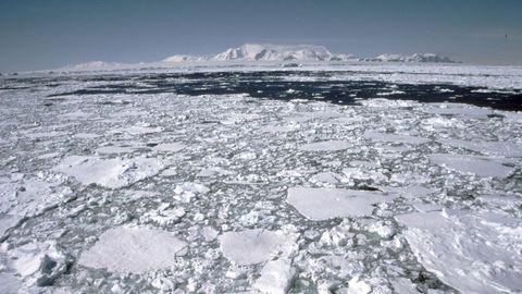 En la imagen puede verse el estado actual de la capa de hielo de la Ant�rtida que ha sido capaz, a grandes rasgos, de mantener su grosor en las �ltimas d�cadas