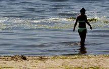 La espuma que presenta estos d�as el agua de A Compostela es un fen�meno natural. 