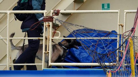 Las unidades caninas tambin trabajan en la bsqueda del supuesto alijo