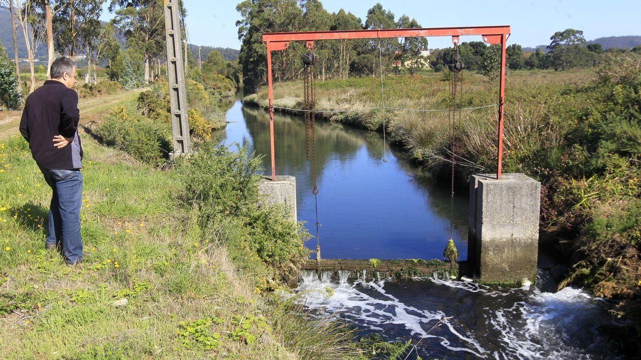 Transición Ecológica da el visto bueno a la recuperación de las marismas de Mera, en Ortigueira