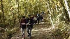Ruta did�ctica ambiental por el Macizo Central de la provincia de Ourense