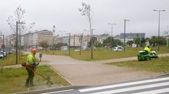 Trabajadores del servicio municipal de jardines actuando sobre las zonas verdes del bulevar de As P�as, en foto de archivo.