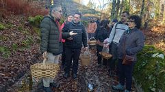 Salida micol�gica en Lobios.