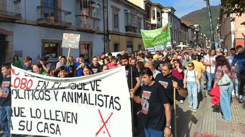 Manifestaci�n en Infiesto contra los ataques de lobo