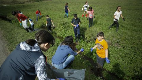 Alumnos del CEIP Mestre Rodríguez Xixirei participan en la limpieza del río Sionlla, en Lavacolla
