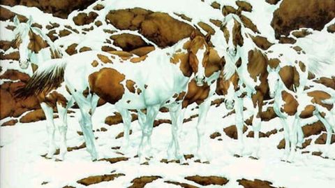 ¿Dónde están los caballos? Si el mecanismo cerebral funciona bien discrimina entre el objeto y el fondo que lo rodea, pese a que en este caso las manchas de los caballos los camuflen entre las rocas y la nieve