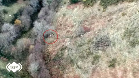 Zona del rescate, en Proaza
