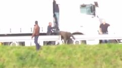 Las im�genes que muestran los malos tratos de la Polic�a gala contra inmigrantes en Calais