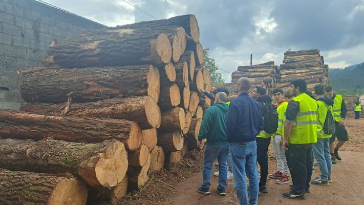Alumnos de Ferrolterra visitan empresas asociadas al Cl�ster da Madeira e o Dese�o de Galicia