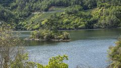 Uno de los pasos fluviales que pide recuperar el BNG estaba en el tramo del Mi�o donde se encuentra el islote de A Maiorga