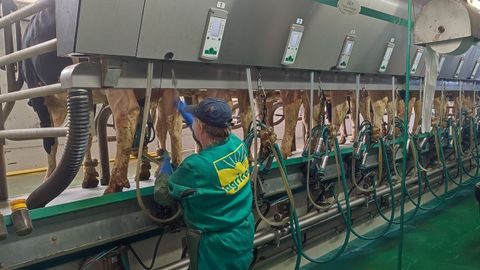 Imagen de archivo de una granja gallega de leche
