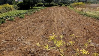 Imagen de archivo de una finca labrada