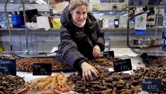 Una pescadera tocando santiagui�os en v�speras de la Nochebuena del 2025 en la coru�esa Plaza de Lugo. 