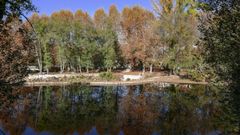 &Aacute;rea recreativa de A Veronza, Ribadavia, en el margen del r&iacute;o Avia.