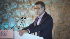 Feijoo, tras postularse para las auton�micas