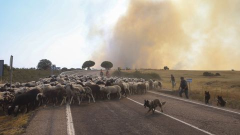 Incendio en Zamora