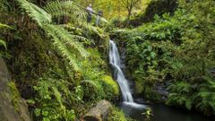 Cascada en una presa del arroyo de Os Mu��os