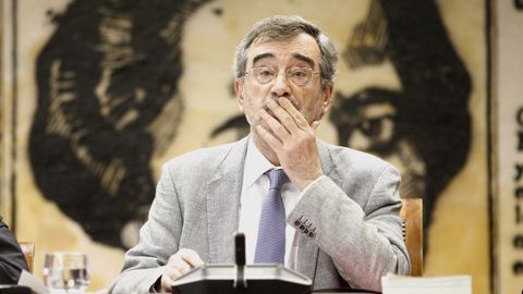 Manuel Cruz, durante la constituci�n de una de las comisiones del Senado