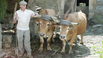 Hortensio Pardo, da Fonsagrada