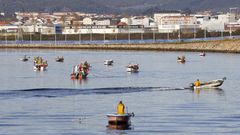 Mucha alegr�a y poco marisco en el estreno del �nuevo� banco de As P�as