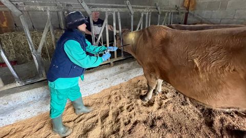 Un t�cnico recoge una prueba de un animal