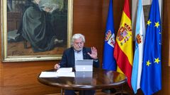 Rosendo Fern�ndez presidi� la reuni�n telem�tica de la Junta de Gobierno.