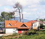 La maleza y el arbolado alrededor de las edificaciones pueden convertirse en un polvor�n.