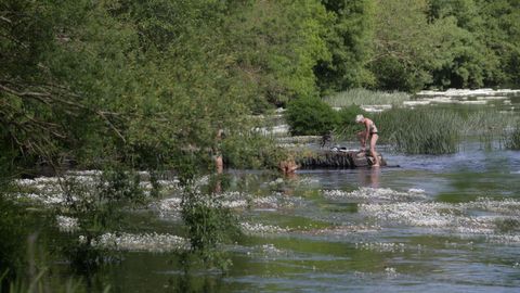 El caneiro de A Tolda fue otro lugar escogido para el baño