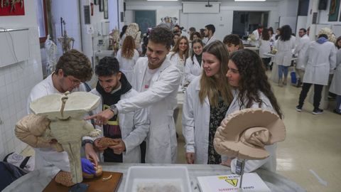 Alumnos de Medicina en la facultad de la USC