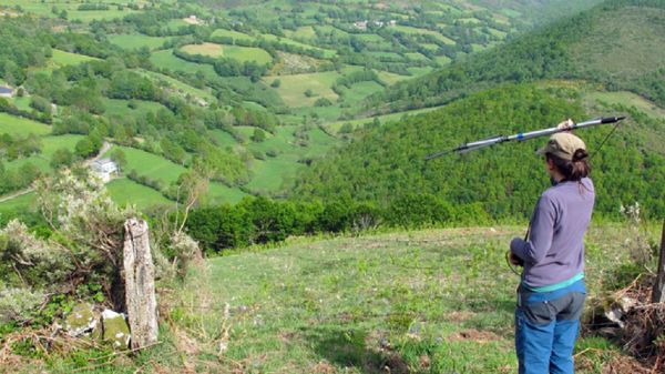Localizaci&oacute;n de murci&eacute;lagos mediante radiotransmisores dentro de un proyecto de investigaci&oacute;n sobre estos animales que se desarroll&oacute; en las sierras de O Courel y Os Ancares