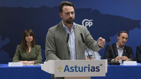 El presidente del Partido Popular de Asturias, �lvaro Queipo, preside la reuni�n del Comit� Ejecutivo Auton�mico en la sede del PP