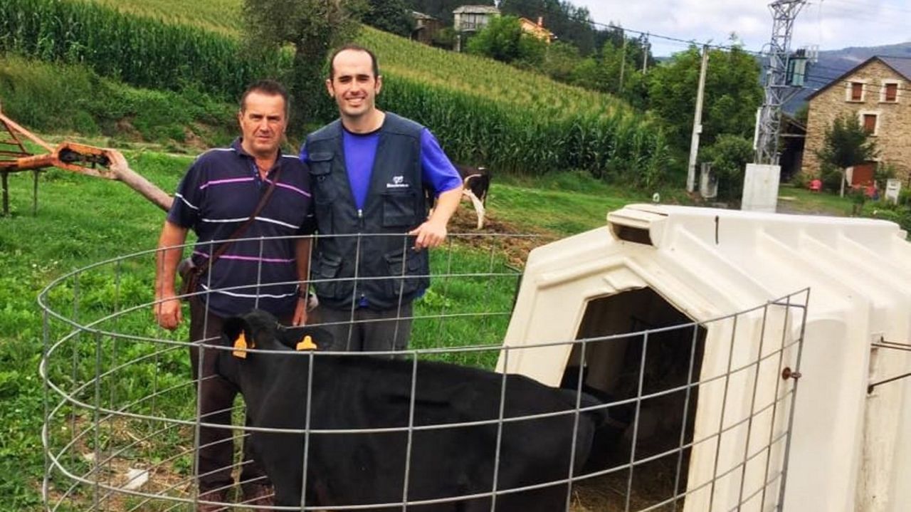La ganadería de Mantoño Holstein, de Barreiros, premiada como la mejor de Galicia – La Voz de Galicia