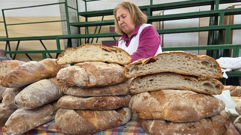 Feira de Santos de Monterroso