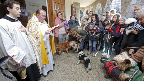 Bendici�n de mascotas en la iglesia de Campolongo