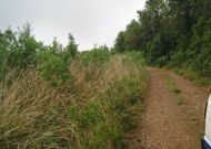 Parte del monte de Erbecedo donde se cultivar�a batata. 