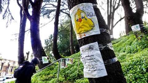Protesta contra la tala de �rboles en la Falperra (Vigo).