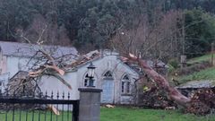 El ejemplar cay� sobre la ermita, da�ando el tejado y una ventana