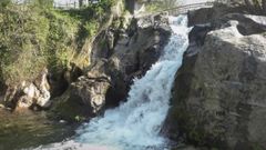 La Fervenda da Freixa est� en Reboreda