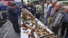 Domingo de setas en Carballo y A Laracha: �im�genes!