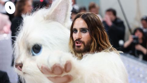 Jared Leto sorprendi vestido de gato