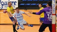 El Cisne confirm� su descenso de categor�a al caer en la pista del Bidasoa