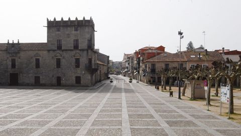 Plaza de Fefins de Cambados, vaca