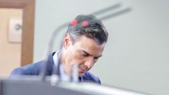 Pedro S�nchez, en la Moncloa