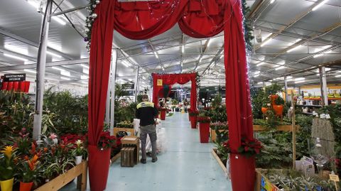 Navidad en Viveiros O Pi�eiro