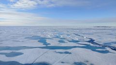 El efecto albedo. En la imagen se aprecian zonas con y sin hielo en el rtico. El blanco tiene un albedo muy alto. Esto quiere decir que refleja casi toda la energa solar incidente. Sin embargo, el azul del mar absorbe ms energa y refleja menos. Esto provoca un calentamiento local en el polo norte