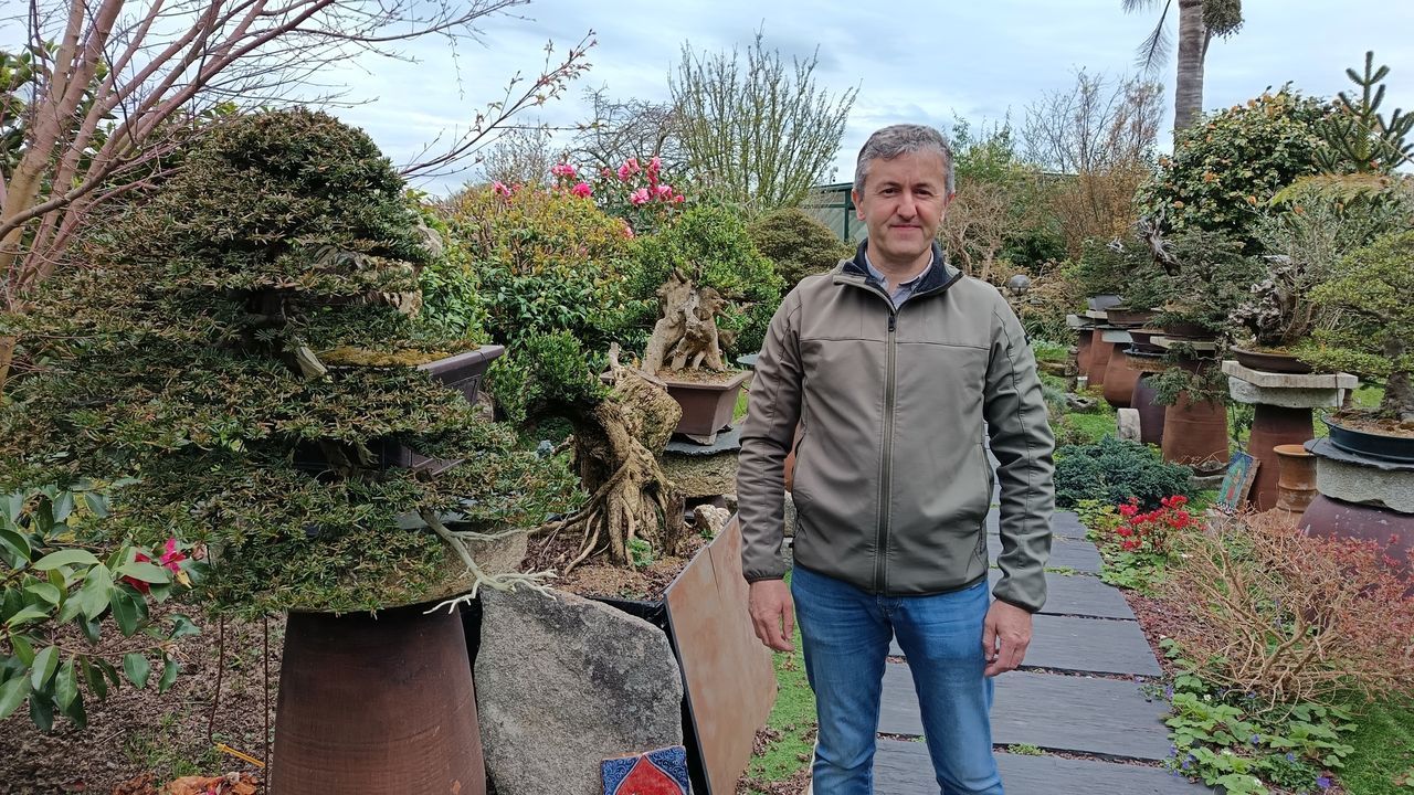 José Freire: «En Galicia hai afección ao bonsái»